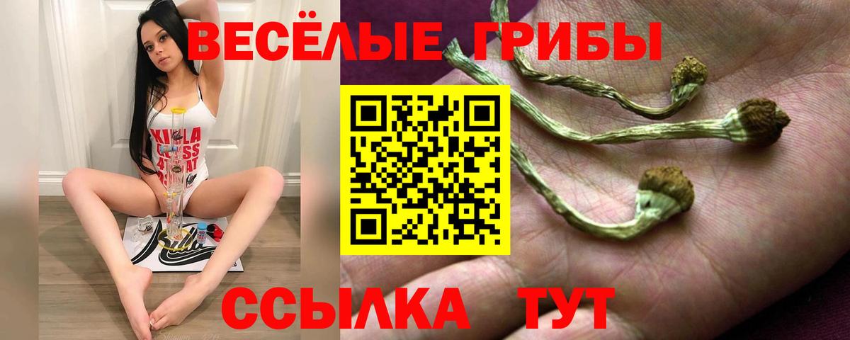 Галлюциногенные грибы мухоморы Донской